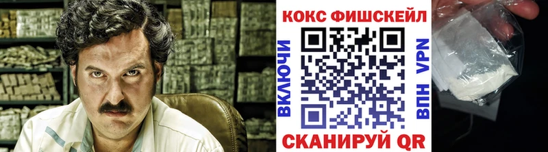 где купить Малая Вишера КОКАИН Fish Scale