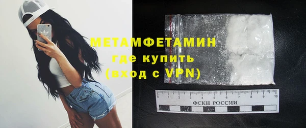прущие грибы Белокуриха