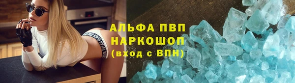 прущие грибы Белокуриха