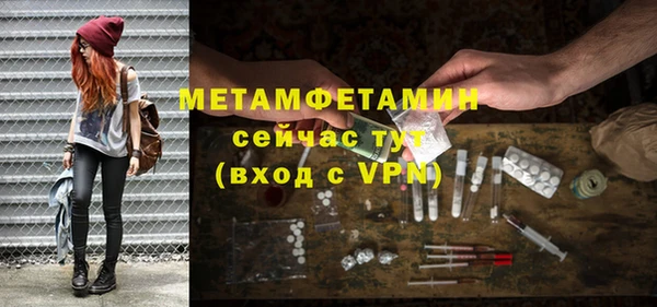 прущие грибы Белокуриха