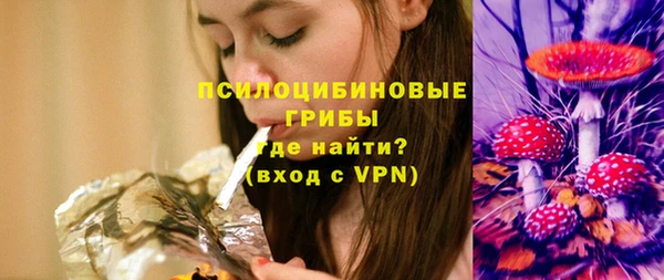прущие грибы Белокуриха