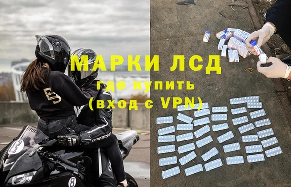 прущие грибы Белокуриха