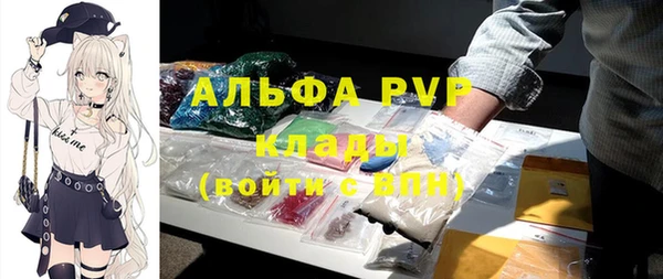 прущие грибы Белокуриха
