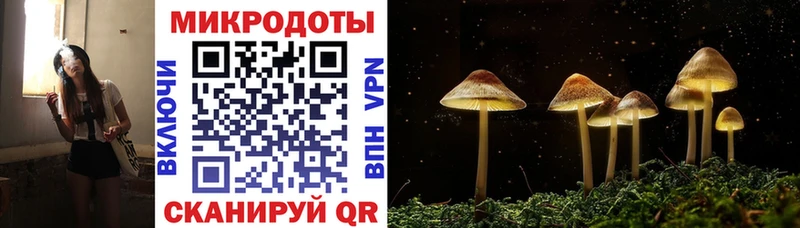 хочу наркоту  дарк нет наркотические препараты  Галлюциногенные грибы Cubensis  Малая Вишера 